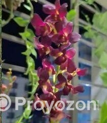 fitted-6_2025-12-11_09-46-17