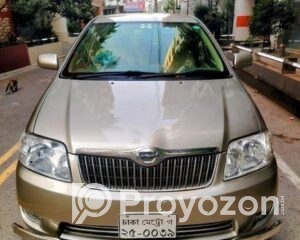 fitted-6_2025-12-25_11-04-02