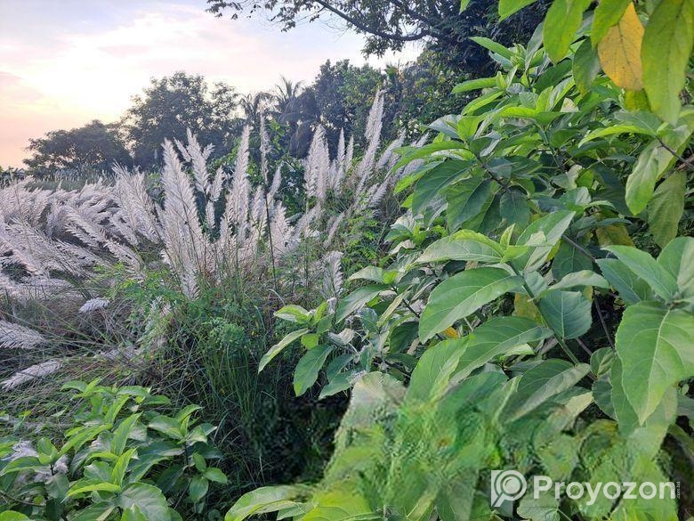 রুপগঞ্জে ৩ বিঘা (৬০ কাঠা) কমার্শিয়াল জমি বিক্রয়