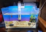 Aquarium Set foe sale