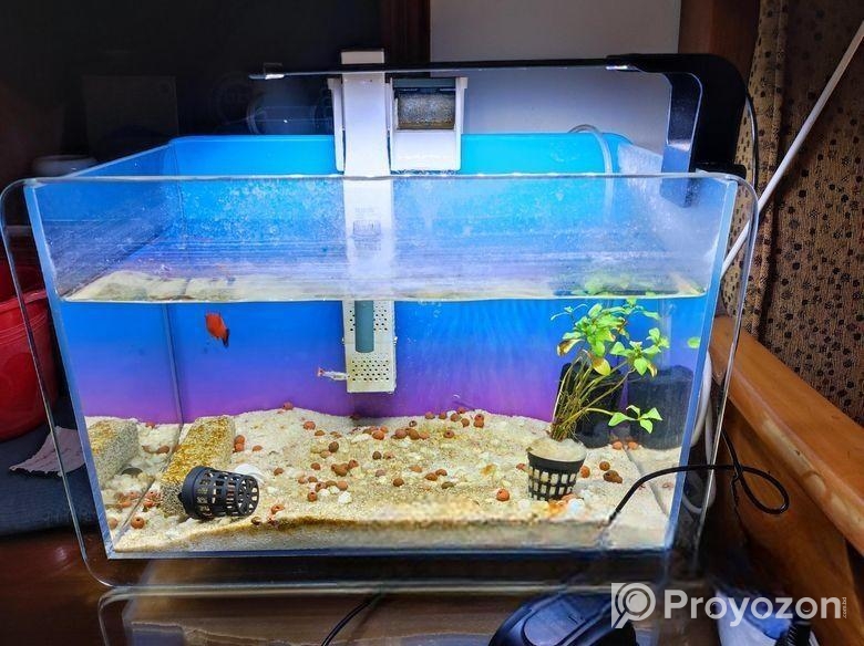 Aquarium Set foe sale