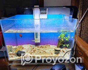 fitted-8_2025-12-21_10-20-57