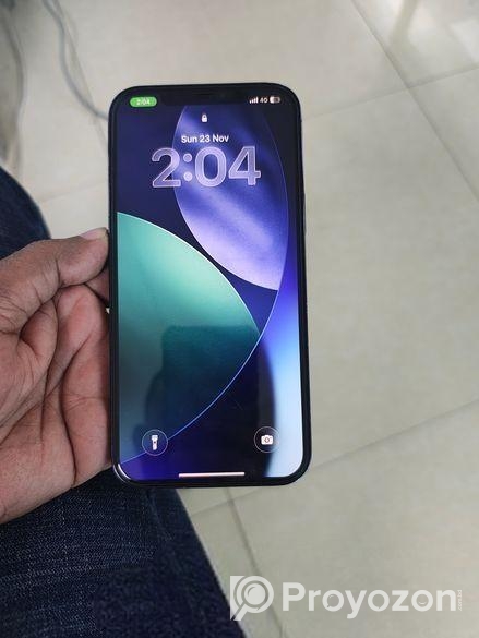 Apple iPhone 12 Pro Max