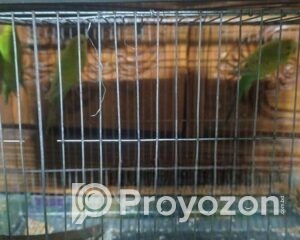 fitted-9_2025-12-08_10-03-20