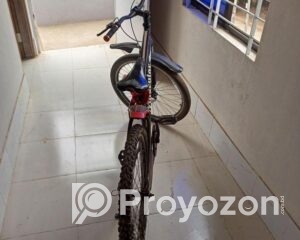 fitted-16_2026-01-10_11-21-01