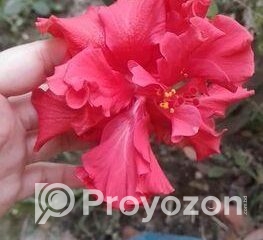 fitted-17_2026-01-10_11-43-38