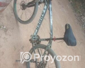 fitted-17_2026-01-12_10-40-42