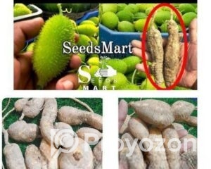 fitted-20_2026-01-18_11-06-42