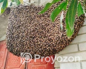 fitted-43_2026-01-06_10-10-01