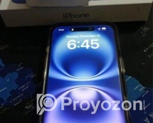 fitted-46_2026-01-06_10-22-04