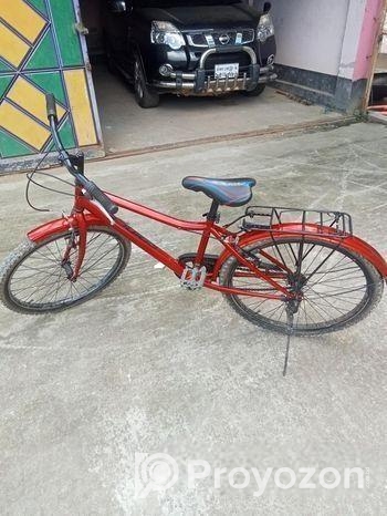 Prince Bicycle for sale