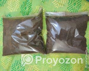 fitted-5_2026-01-03_10-29-46