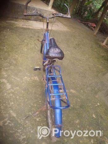 দুরন্ত সাইকেল