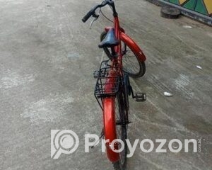 fitted-5_2026-01-12_10-25-13