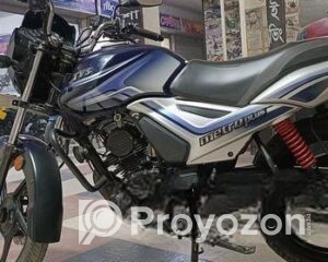 fitted-5_2026-01-19_10-09-52