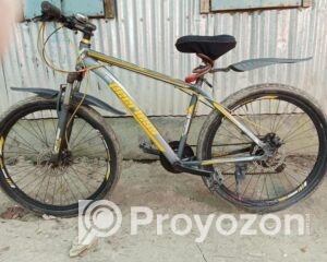 fitted-6_2026-01-04_10-34-09