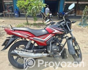 fitted-10_2026-04-25_14-11-34