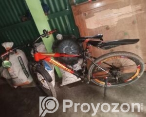 fitted-1_2026-04-19_13-18-51