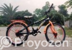 🚲 Falcon 20″ বাচ্চাদের সাইকেল | ফুল সার্ভিসিং