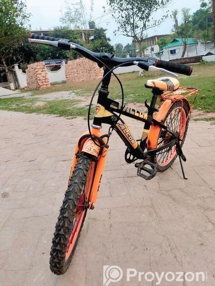 🚲 Falcon 20″ বাচ্চাদের সাইকেল | ফুল সার্ভিসিং