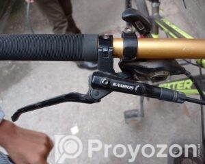 fitted-20_2026-04-16_11-22-17