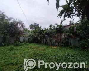 fitted-38_2026-04-26_19-27-43