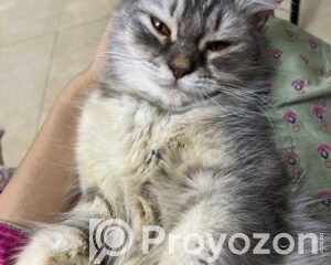 fitted-41_2026-04-19_13-50-20