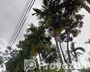 fitted-42_2026-04-26_19-31-00