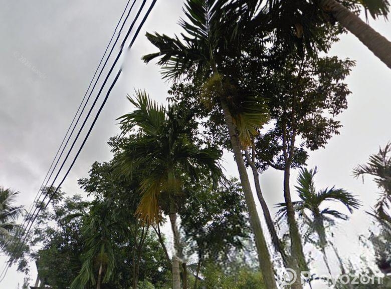 2.5 acres of land for sale, Gudati Para