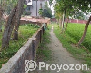 fitted-44_2026-04-26_19-33-33