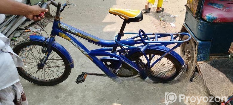 Bicycle For Sale