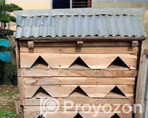 fitted-55_2026-04-21_12-17-23