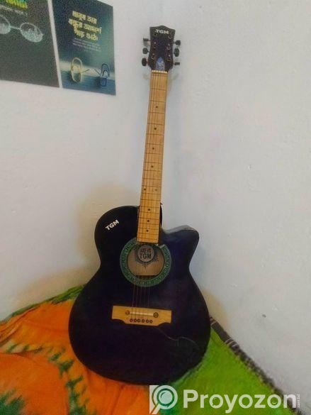 গিটারটি একবারেই ব্যবহার করানা