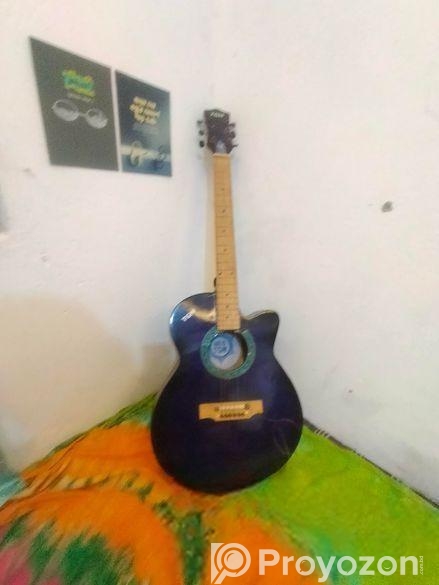 গিটারটি একবারেই ব্যবহার করানা
