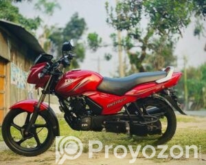 fitted-61_2026-04-21_12-51-30