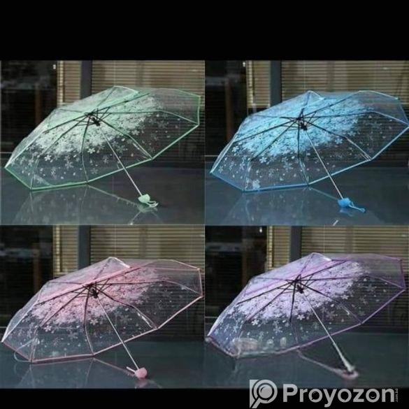 Transparent Umbrella