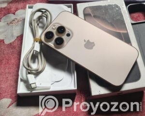 fitted-80_2026-04-24_17-02-36