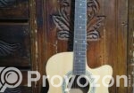 Deviser Guitar