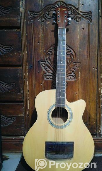 Deviser Guitar