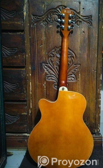 Deviser Guitar