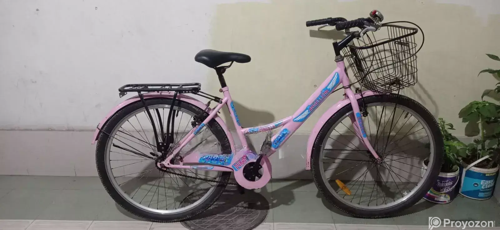 Angelina Cycle