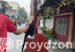 গিটার মডেল ট্রেন্ড