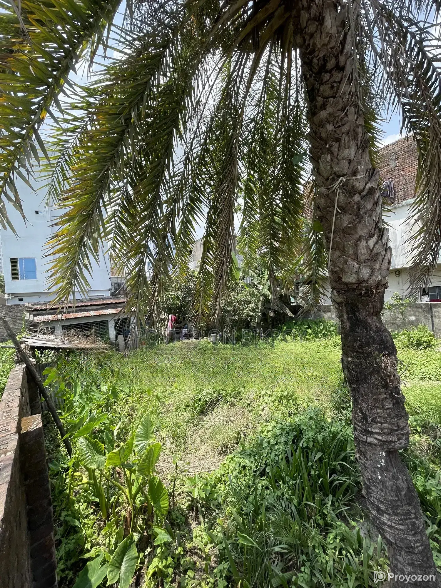 4 Katha Land for Sale at Sonadanga Thana Road, Khulna