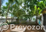 3.53 Katha Land with Tin-Shed Semi-Pucca House for Sale, Goborcha