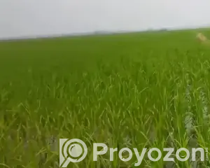 4556577_OTM0LTE2MzUtYzFiZTlmNjI0MA_2026-05-20_17-21-16